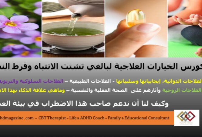 الصورة المصغرة للدورة