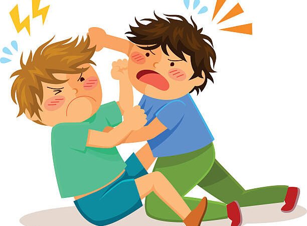 الصورة المصغرة للدورة